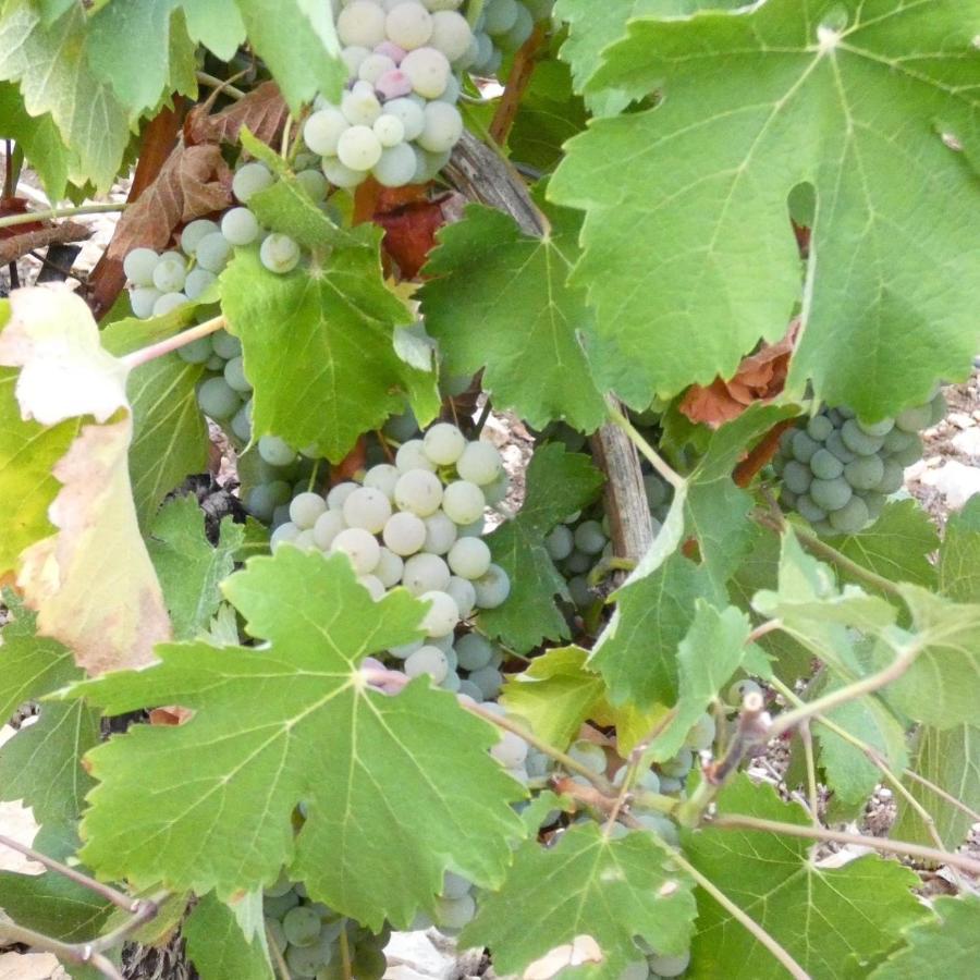 L'Annexe Villa Verdigny Bagian luar foto